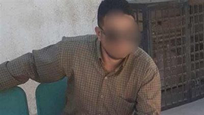 كلاب ضالة تهاجم موظفا كفيفا في السويس وتصيب 8 آخرين خلال 24 ساعة