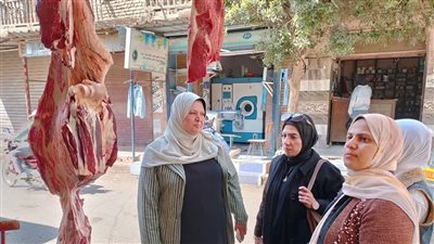 حملة تفتيشية تضبط نصف طن لحوما مجهولة المصدر في تلا بالمنوفية