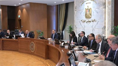 مدبولي: تعاقدنا مع مؤسسة التمويل الدولية للعمل كاستشاري لطرح إدارة وتشغيل المطارات المصرية