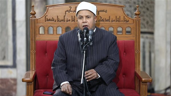 الدكتور محمد أبوزيد