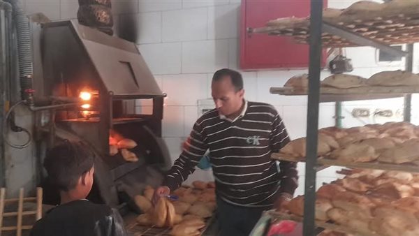 حملات تفتيشية بالمنيا