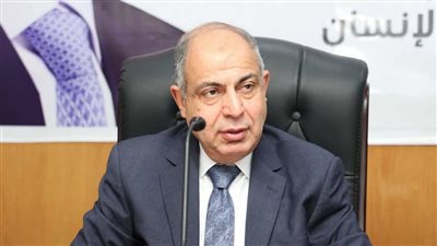 محافظ المنيا يعلن إنشاء 3 مراكز تكنولوجية جديدة.. ويتابع مشروع تطوير منطقة الحبشي والسوق الحضاري