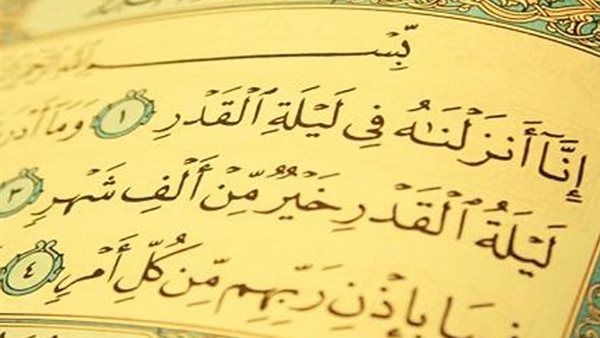 كيف تضمن أن تكون