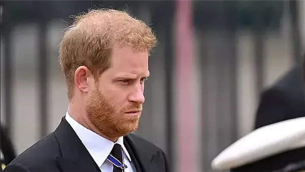 الأمير هاري