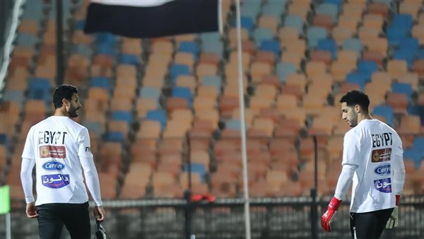 محمد الشناوي 