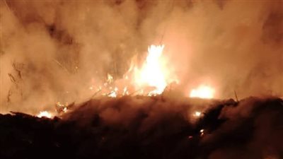 حريق بإحدى حدائق البرتقال بقرية في المحلة والحماية المدنية تحاول السيطرة 