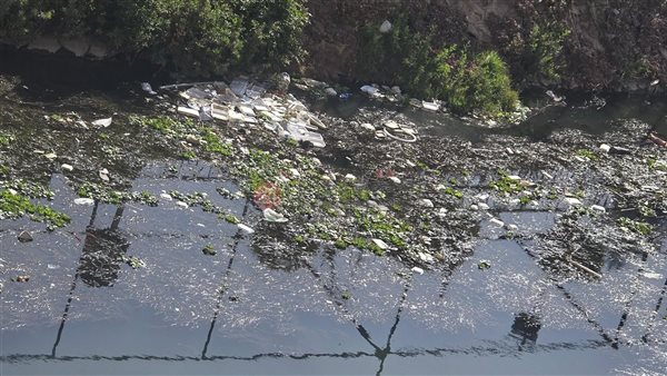 ترعة البتانونية بجوار