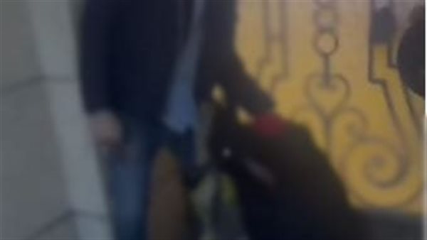 سحل سيدة الزقازيق