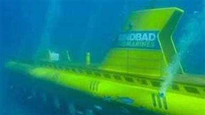 تشكيل لجنة من محميات البحر الأحمر لبيان خسائر الشعاب المرجانية بعد غرق غواصة الغردقة