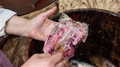 قبل العيد.. ضبط أكثر من 6 أطنان فسيخ ورنجة ولحوم غير صالحة بالقاهرة | صور