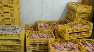 ضبط نصف طن فراخ فاسدة في حملة تموينية مكبرة بالسويس