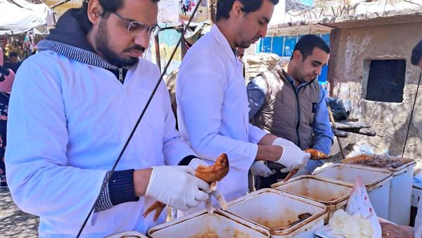 جانب من الحملات