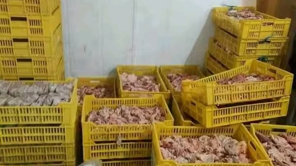 فراخ غير صالحة للاستخدام