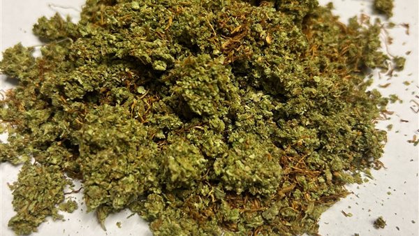 مخدر الماريجوانا