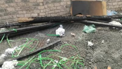 النيران تلتهم ورشة فيبر في دائرة قسم طهطا بسوهاج | صور