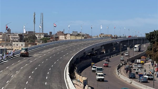 كوبري العامرية