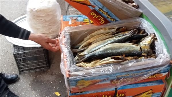 ضبط 6 أطنان و500