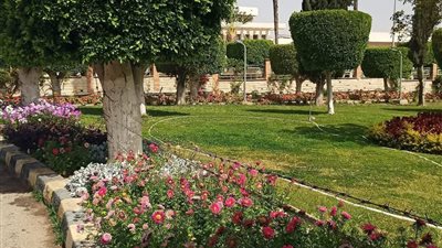 رئيس هيئة نظافة القاهرة: وزعنا أكياس بلاستيكية لعدم إلقاء مخلفات على المسطحات الخضراء خلال العيد