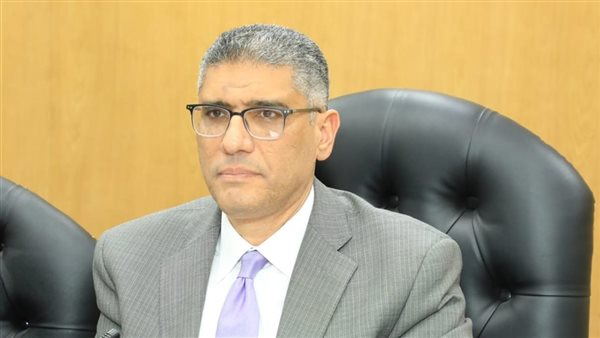 محافظ الجيزة