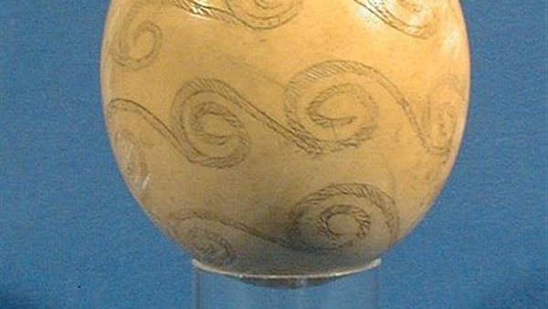  بيضة نعام تعود إلى