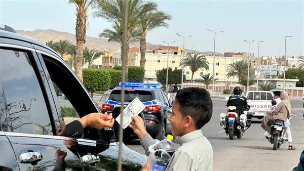 محافظ جنوب سيناء