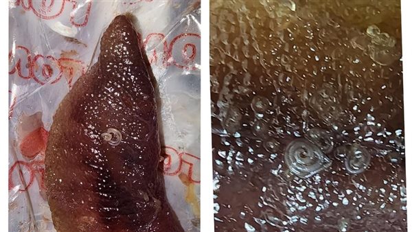 شاب يشكو من محل فسيخ