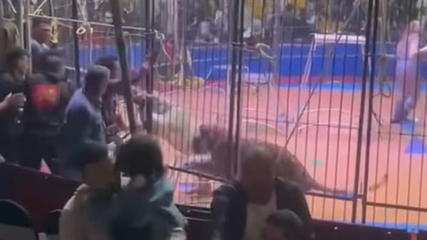 جانب من الواقعة 