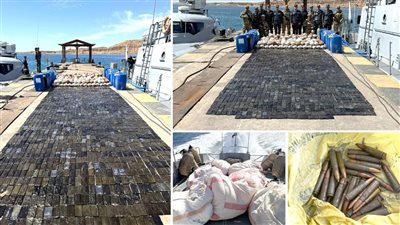 القوات البحرية تحبط محاولة لتهريب كميات من المخدرات عبر سواحل البحر الأحمر