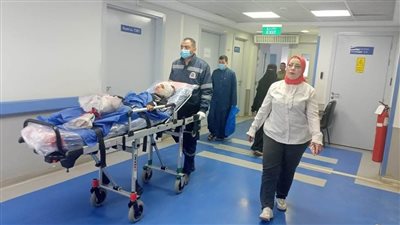 بعد إصابة الطفلة إيمان.. الأزهر للفتوى: رشق القطارات بالحجارة سلوك عدواني محرم 