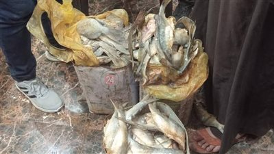 قبل شم النسيم.. ضبط أكثر من 14 طن أسماك ولحوم ودواجن مخالفة للمواصفات في الدقهلية