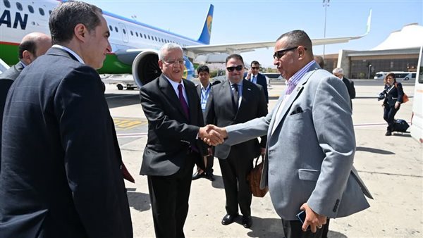 محافظ جنوب سيناء