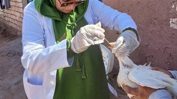 الطب البيطري