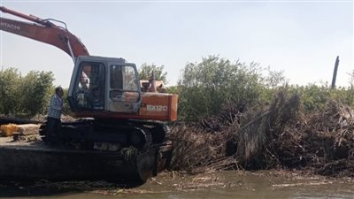 حملة مكبرة لإزالة أعمال تعدٍ على نهر النيل بالمحمودية في البحيرة| صور