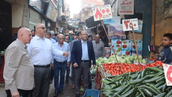 محافظ القليوبية 