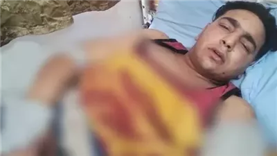 7 شهود أمام النيابة: عامل السيرك المصاب ليس له علاقة بالمكان.. وذكر في المحضر أن النمر ذكر بينما هو أنثي 