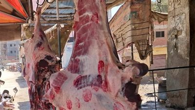 تحرير 7 محاضر وضبط 51 كجم لحوم ودواجن مجهولة المصدر في كفر الشيخ