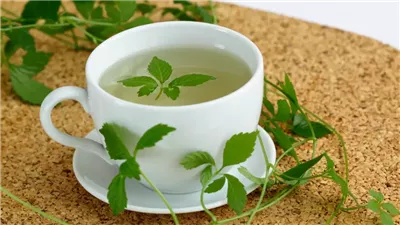 عشب الجياوجولان البديل الأقوى للشاي الأخضر في تحسين الصحة وزيادة الطاقة.. تعرف على فوائده