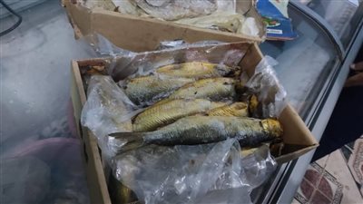 قبل عيد القيامة وشم النسيم.. حملات تفتيشية على المطاعم ومنافذ البيع بالقصير| صور