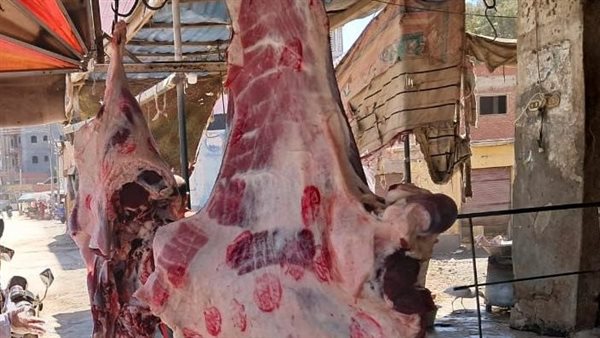 جانب من المضبوطات