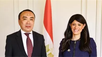 منها الطاقة الجديدة والمتجددة.. وزيرة التخطيط تبحث مع سفير كازاخستان استعدادات الدورة السادسة للجنة المشتركة