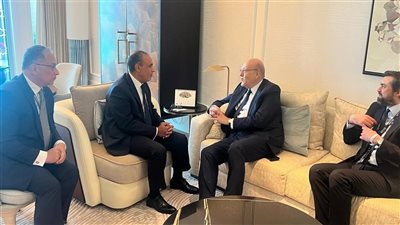 وزير الخارجية يستقبل رئيس وزراء لبنان السابق في أبو ظبي