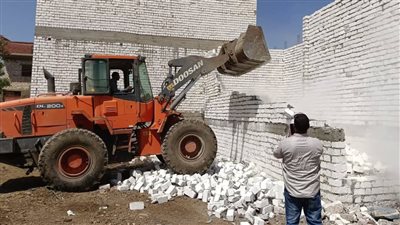 الموجة 25.. إزالة 88 حالة تعدٍ على الأراضي الزراعية وأراضي أملاك الدولة بالمنيا