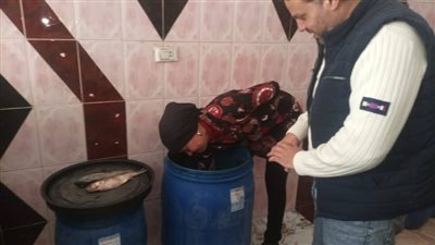 بيطري كفر الشيخ تعلن عن ضبط لحوم وفسيخ غير صالحين للاستهلاك الأدمي في حملة مكبرة