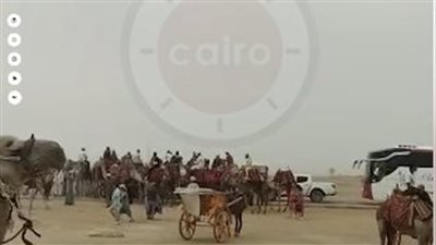 بعد نشر القاهرة 24.. القبض على 10 خيالة لتشاجرهم بسلاح أبيض وعصي بشارع أبو الهول