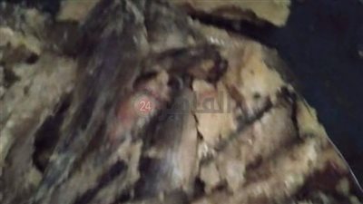ضبط 4500 كجم أسماكا مدخنة داخل حظيرة مواشٍ تُستخدم لتصنيع الأسماك المملحة بالمنوفية