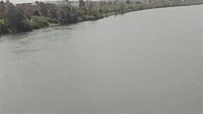 أثناء قطف التوت.. غرق طفل في ترعة بقرية منشأة سلطان بالمنوفية