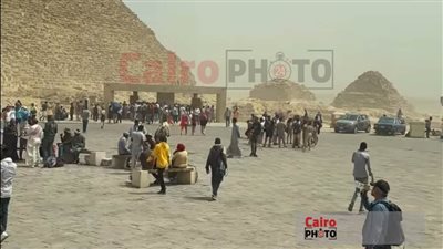 مصدر بالسياحة: وضعنا خطة جديدة لتسهيل الحركة داخل منطقة أهرامات الجيزة بداء من اليوم