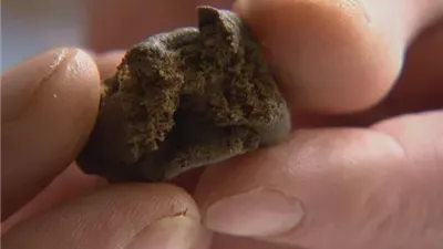 السجن 3 سنوات لعامل بتهمة الإتجار في الحشيش بقنا