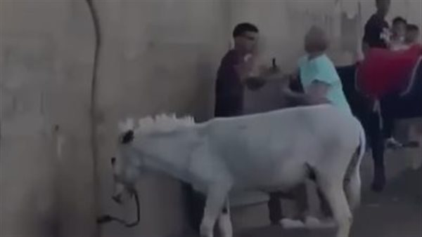 جانب من الواقعة 