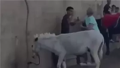 نشرة أخبار الحوادث| إحالة الفتاة المتهمة بالتعدي على طبيب أسنان للمحاكمة والقبض على المتهمين في مشاجرة مدرسة الحافظ الخاصة